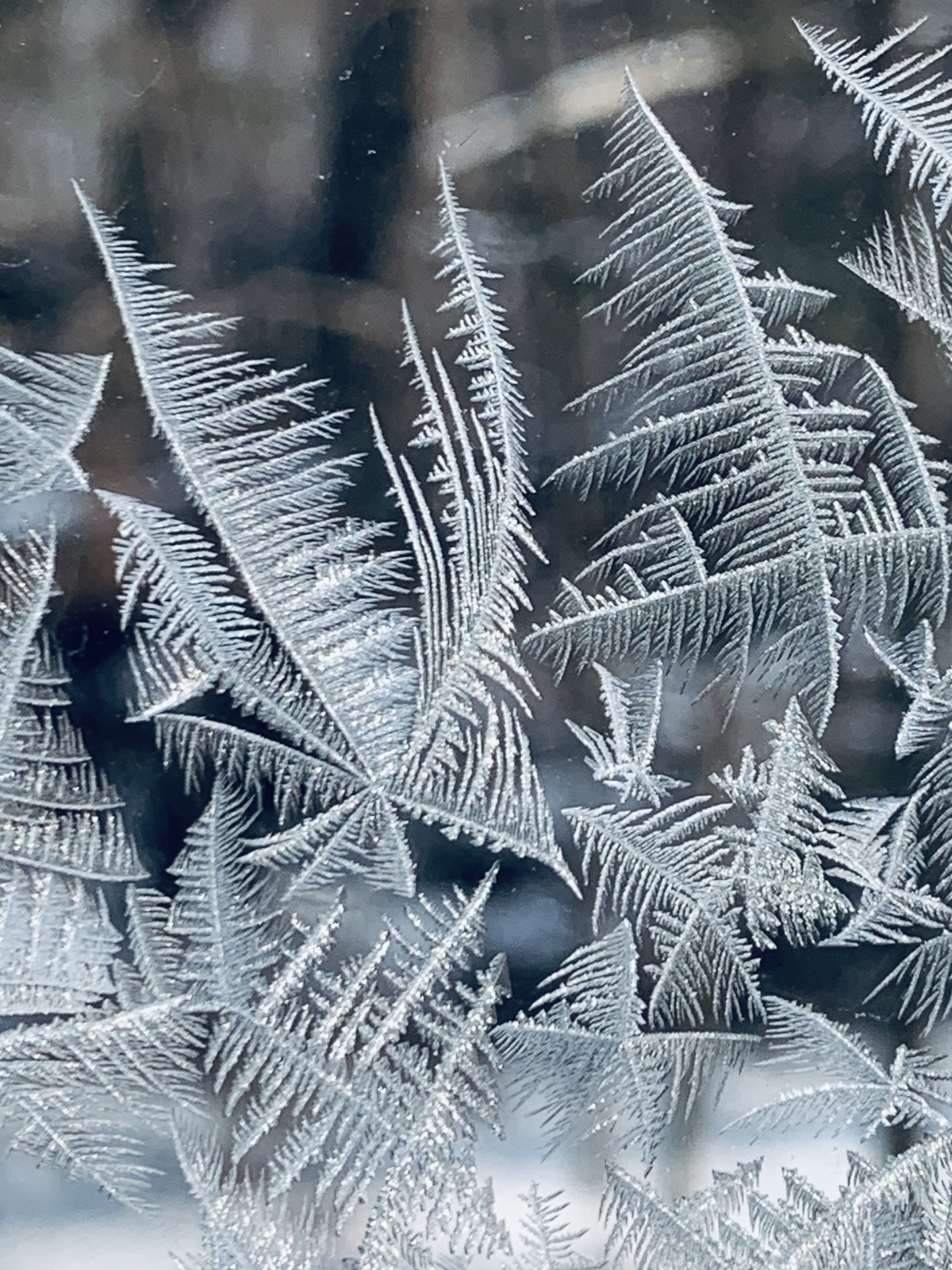 fractal