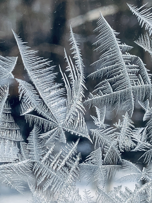 Fractal